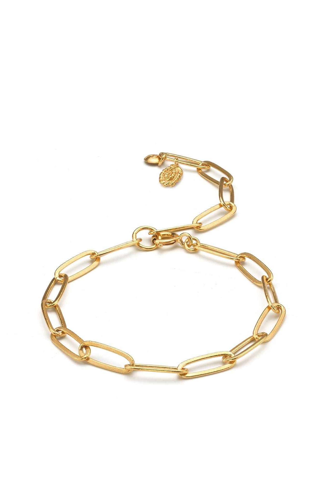 Nautilus Chain Bracelet