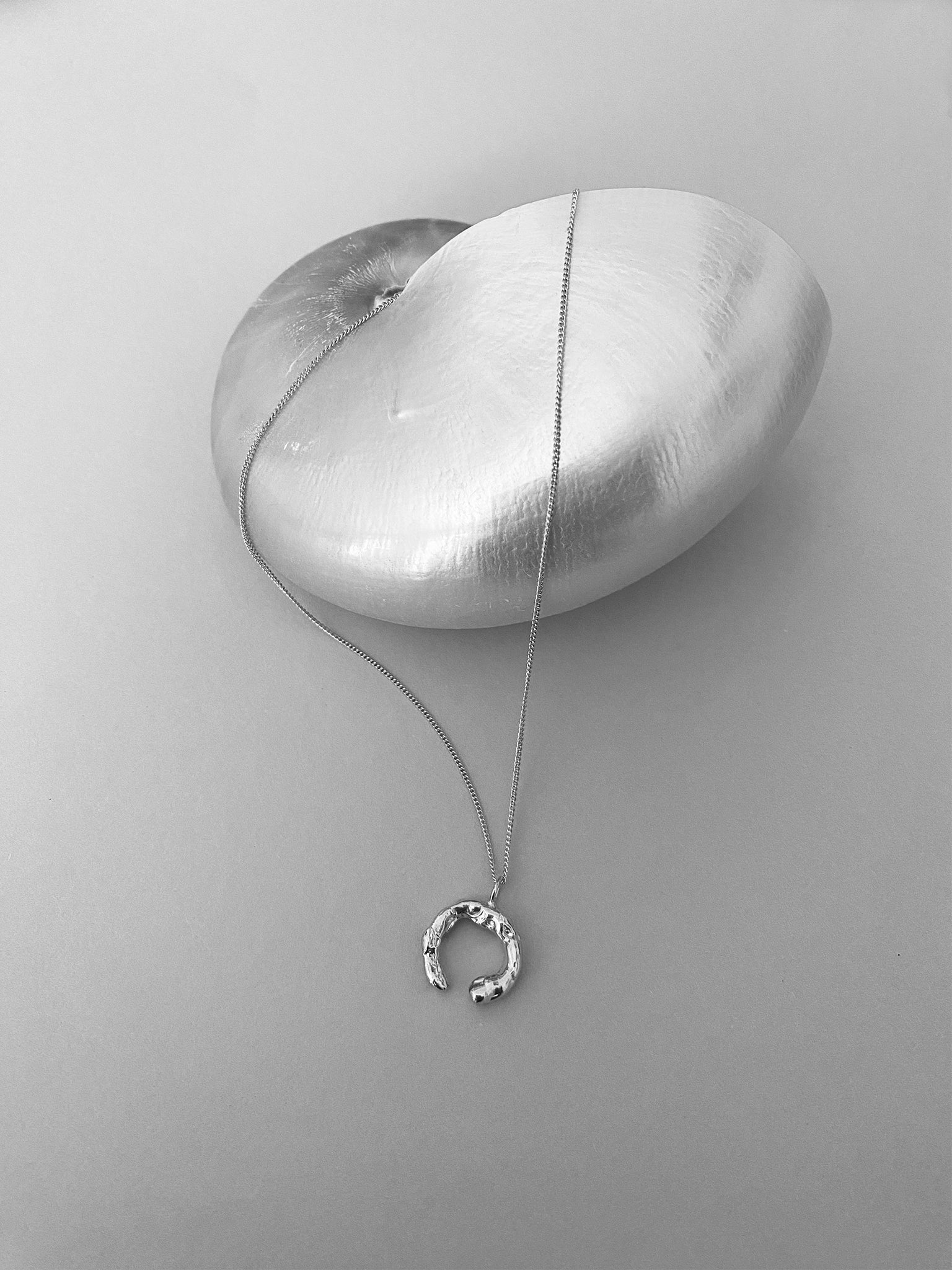 Talisman Fortune Necklace Silver