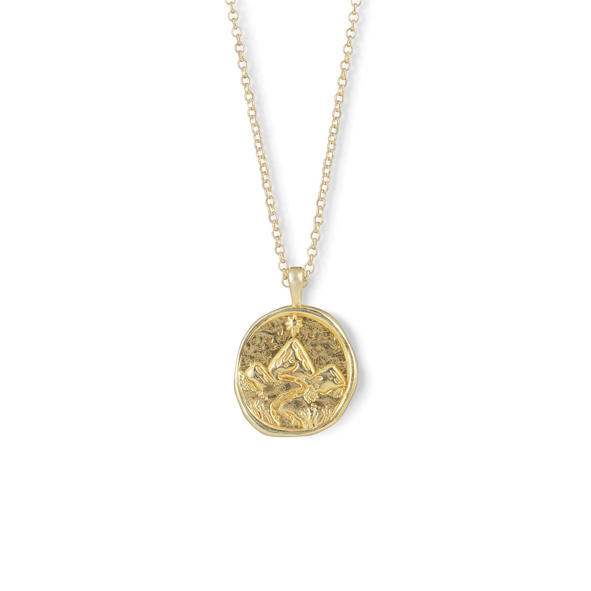 Gold Zodiac Coin Pendant Necklace • Capricorn