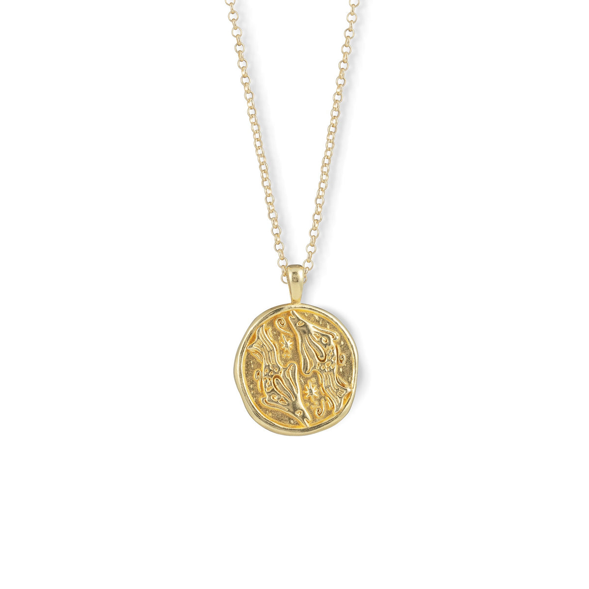 Gold Zodiac Coin Pendant Necklace • Pisces