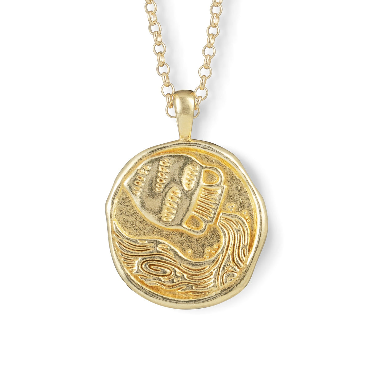 Gold Zodiac Coin Pendant Necklace • Aquarius