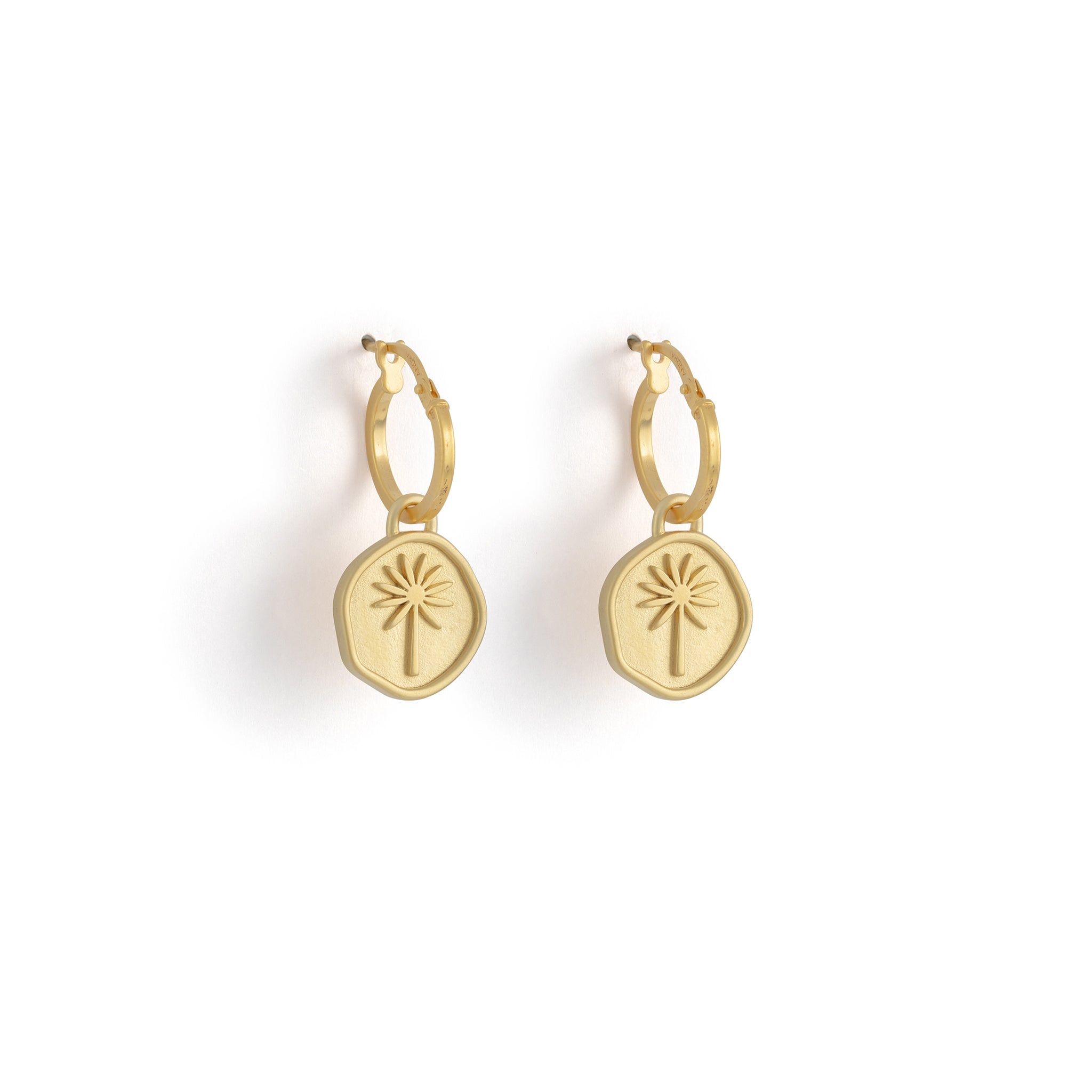 Terra Creole Hoop Earrings