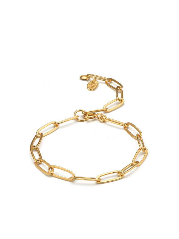 Nautilus Chain Bracelet