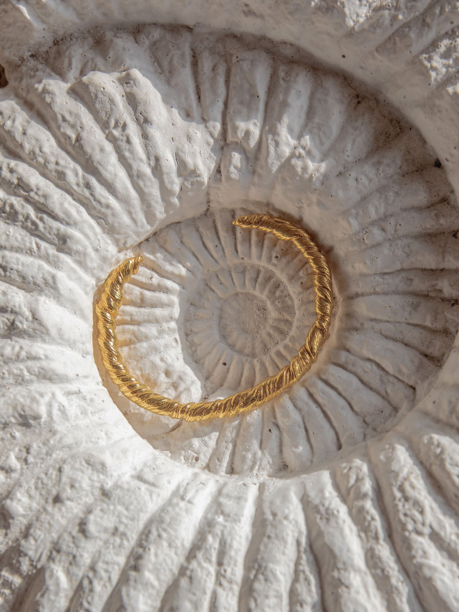 Behind the Brand: Eva Remenyi