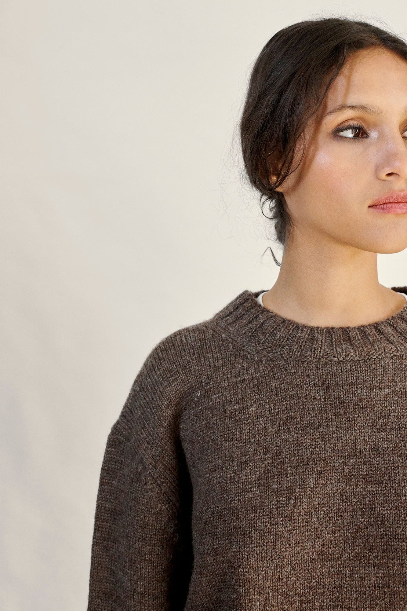 Brampton Crew Neck Jumper in Peat