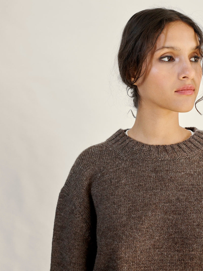 Brampton Crew Neck Jumper in Peat