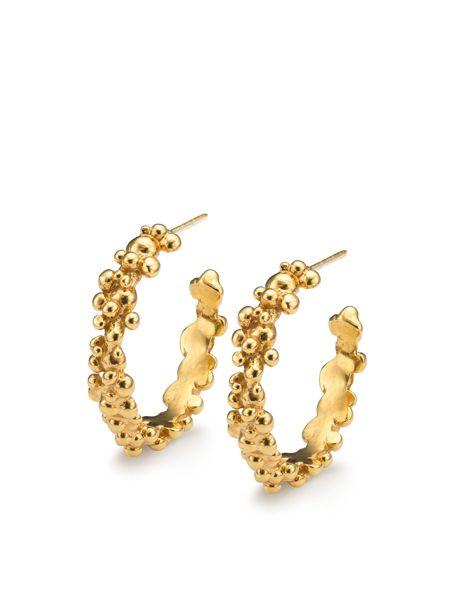 Céleste Deux Hoop Earrings Gold