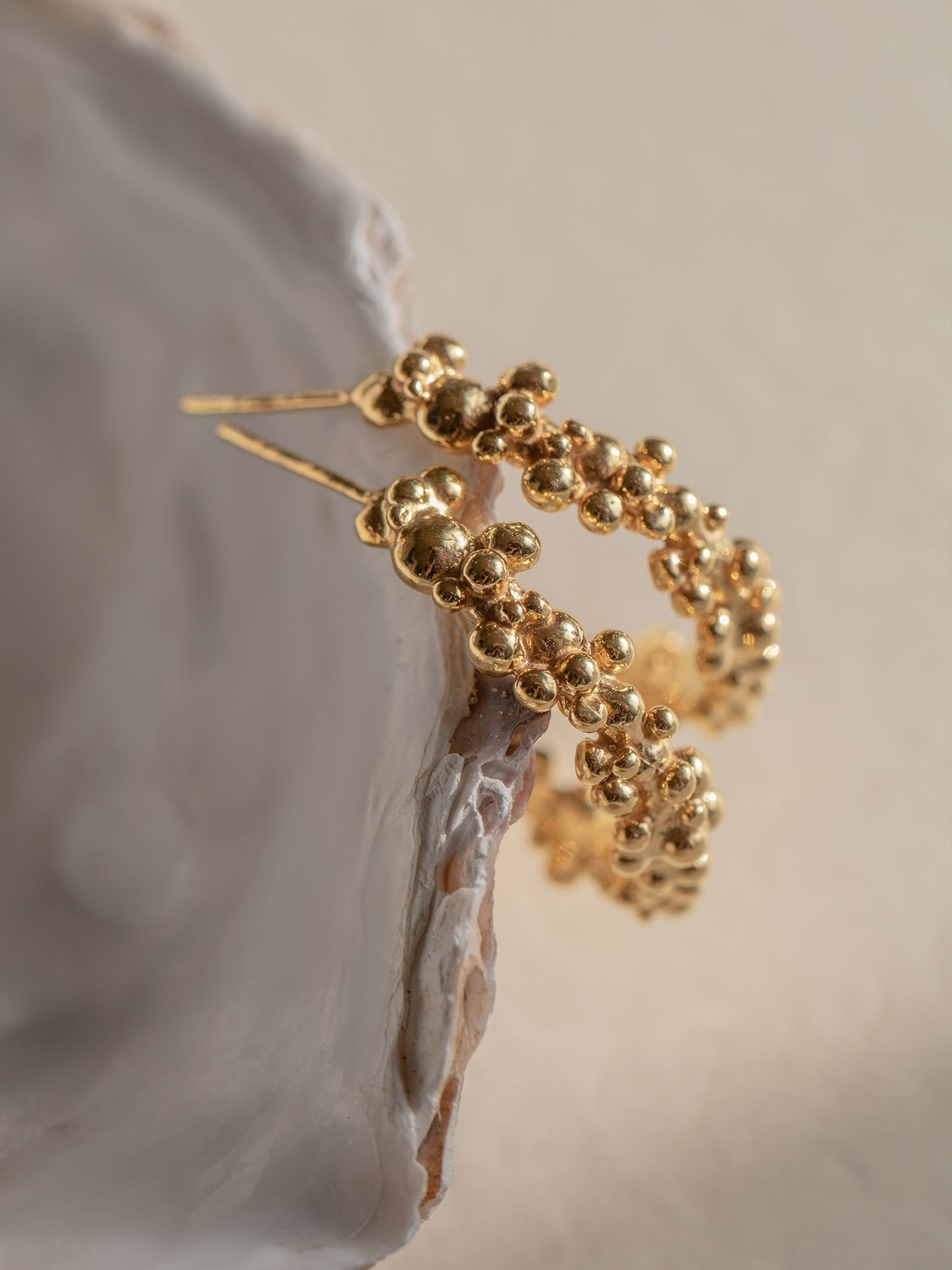 Céleste Deux Hoop Earrings Gold