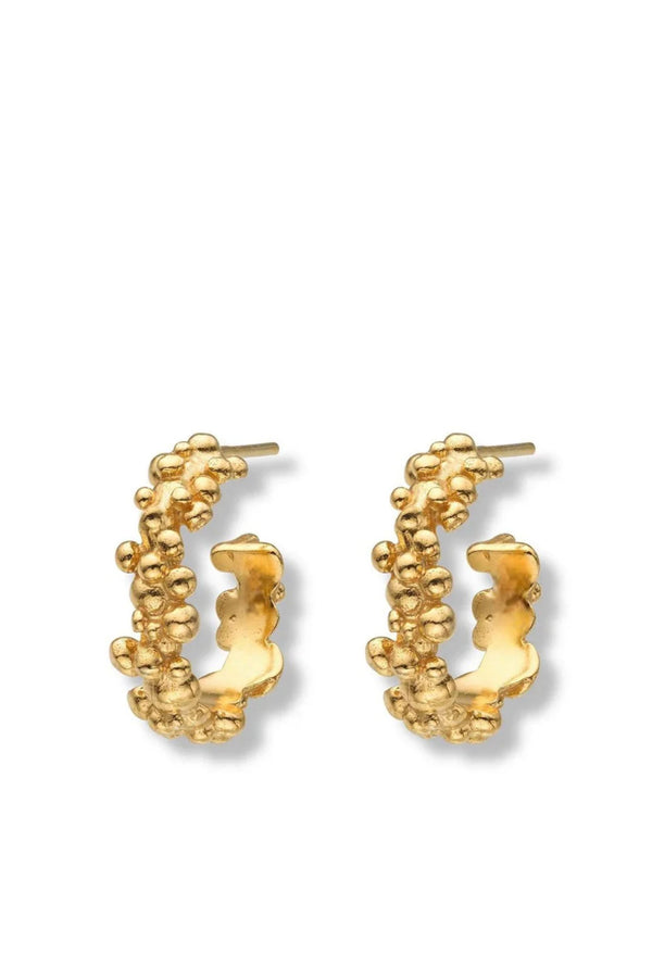 Céleste Deux Small Hoop Earrings Gold
