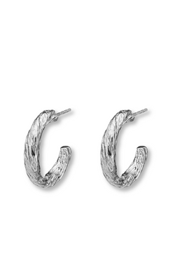 Archaic Small Hoop Earrings Silver