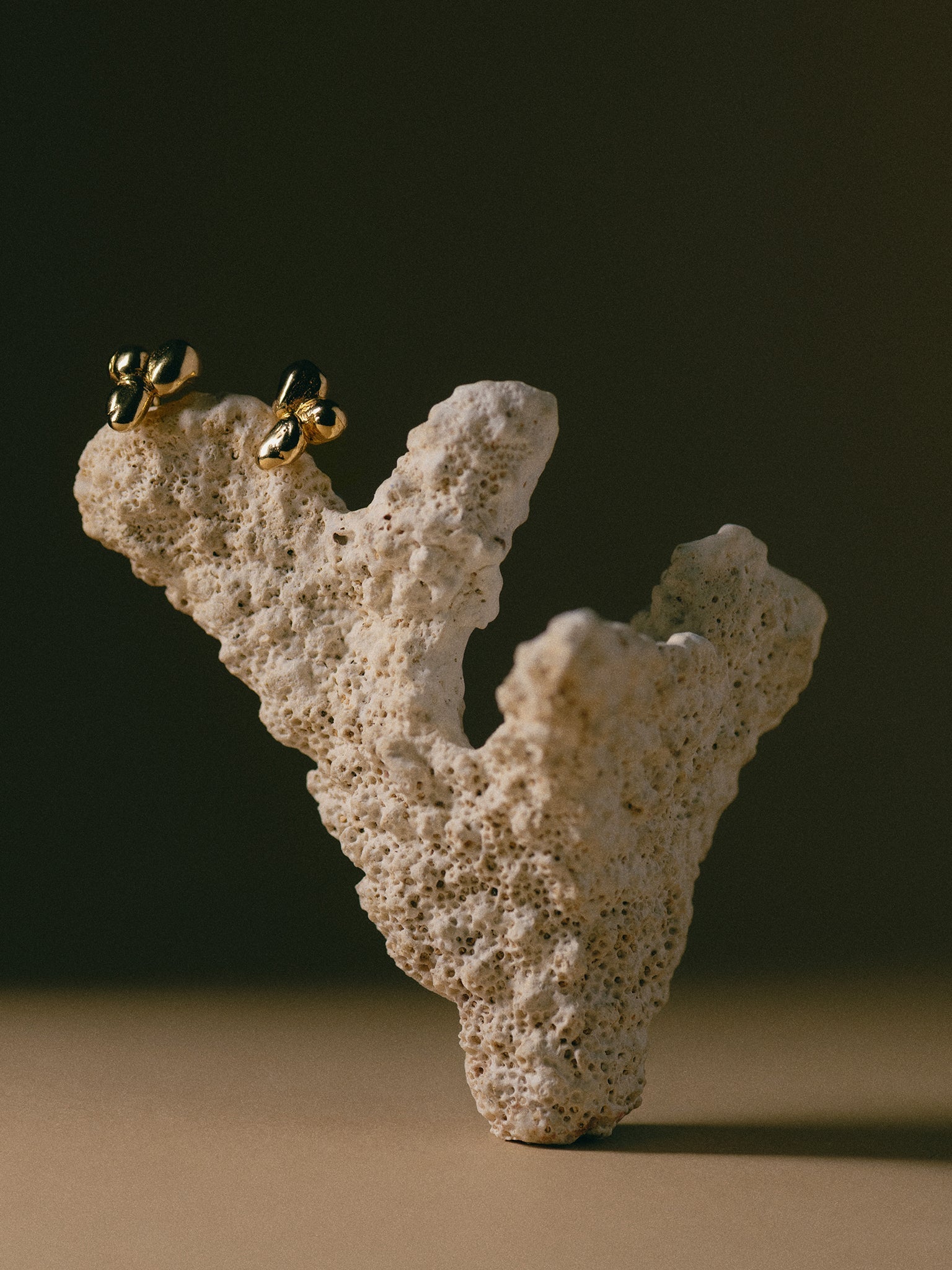 Pebbles Earrings 14k Gold