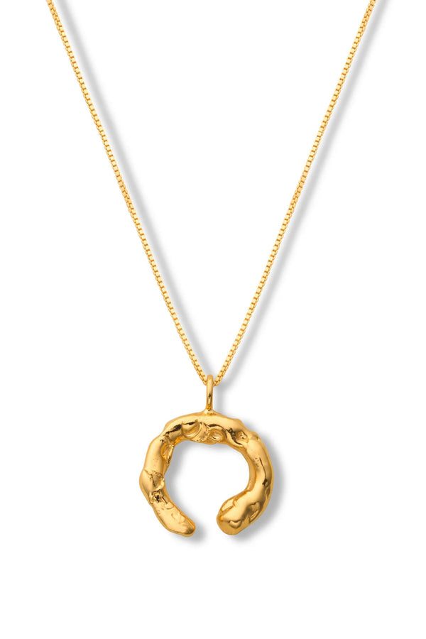 Talisman Fortune Necklace Gold