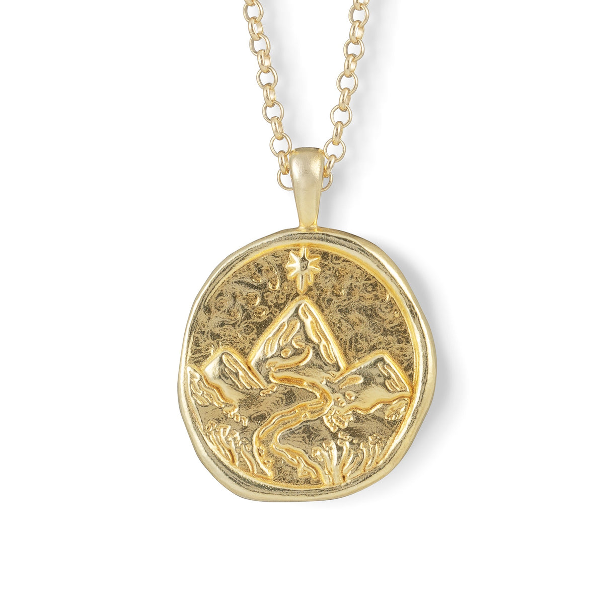 Gold Zodiac Coin Pendant Necklace • Capricorn