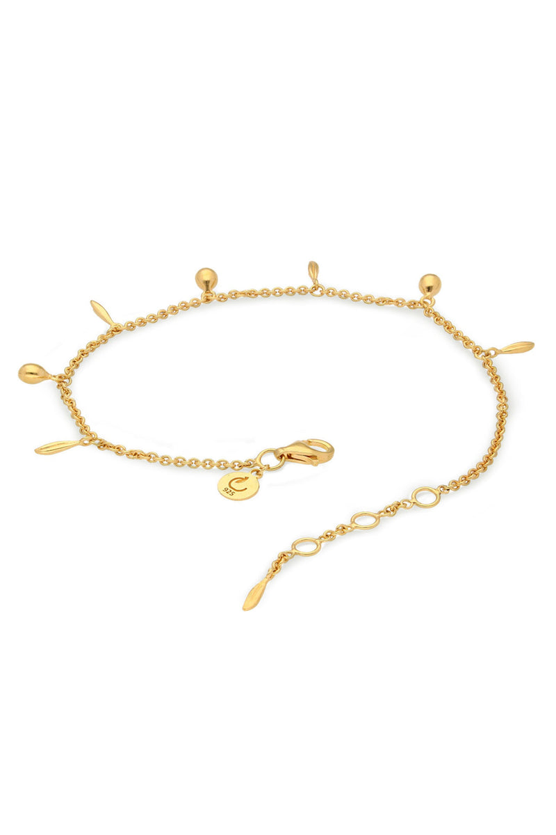 The Halkidiki Olive Bracelet, Gold