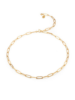 Nautilus Chain Necklace