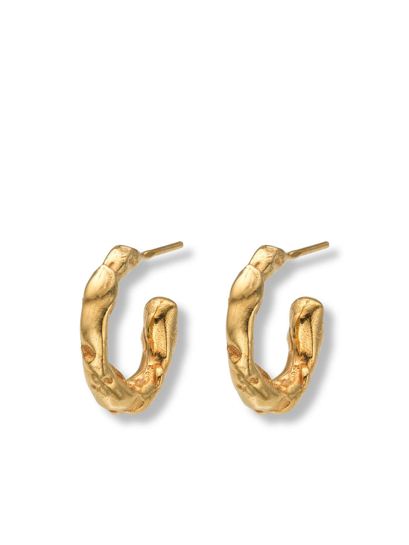 Talisman Small Hoop Earrings Gold